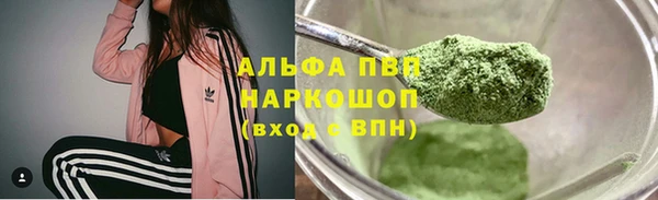гашик Михайлов