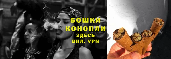 гашик Михайлов