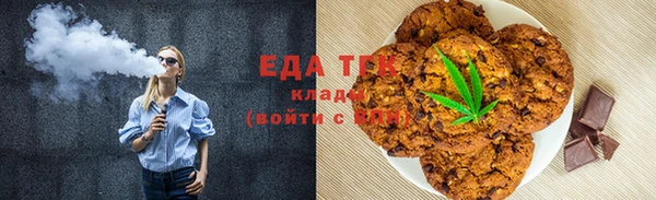 амф Ельня