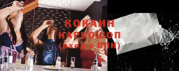 гашик Михайлов